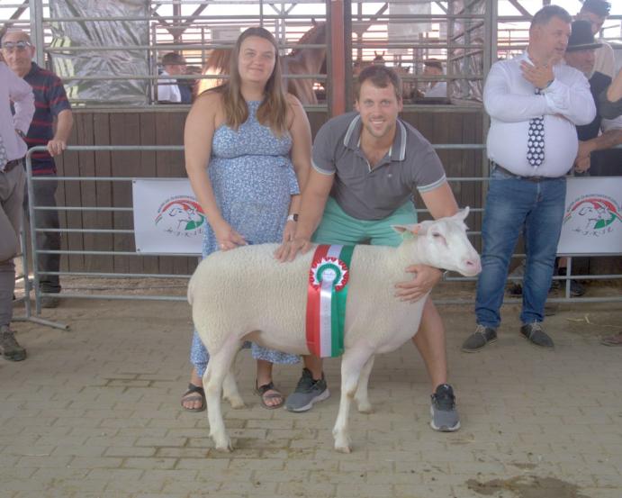 Farmer Expo 2026 - legszebb anyajuh