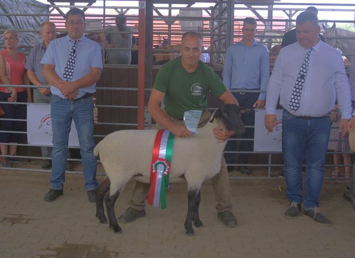 Farmer Expo 2026 - legszebb jerke