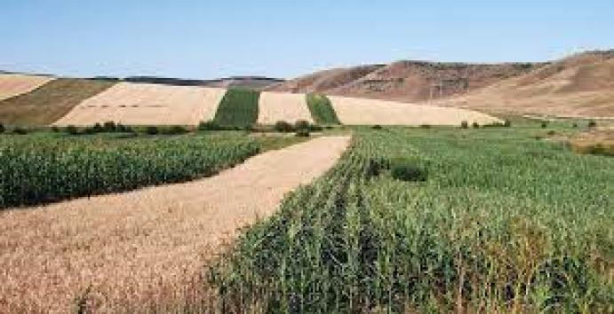 Zöldítési pályázat