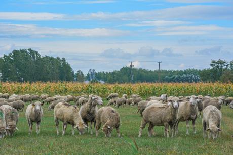 Időszaki kiadvány címlap