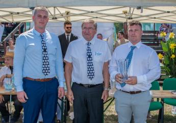 Merinó fajtacsoport különdíj