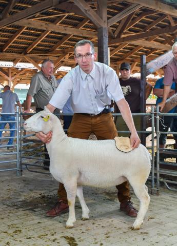 Ile de france fajtagyőztes jerke