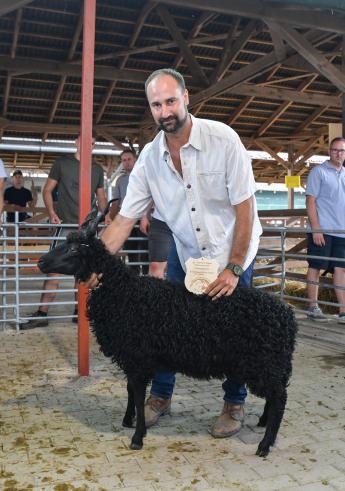 Fekete hortobágyi racka fajtagyőztes és legszebb jerke