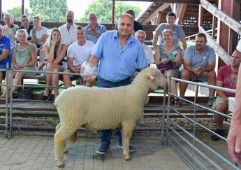 Legszebb növendékkos