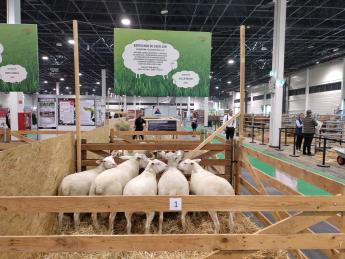 OMÉK berricon du cher csoport